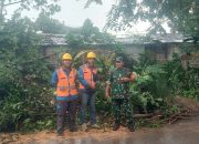 Pohon Tumbang di Depok, Babinsa Pancoran Mas Sigap Lakukan Pengamanan