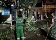 Pohon Tumbang Timpa Warung di Cilodong Depok, Babinsa Sigap Membantu