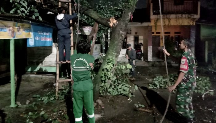 Pohon Tumbang Timpa Warung di Cilodong Depok, Babinsa Sigap Membantu