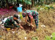 Babinsa Cipayung Jaya Sertu Heryanto Tanam Pohon Buah, Hijaukan Lingkungan, Bermanfaat untuk Warga